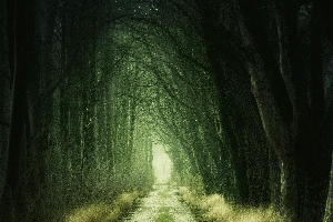 Magic the Gathering at the Library